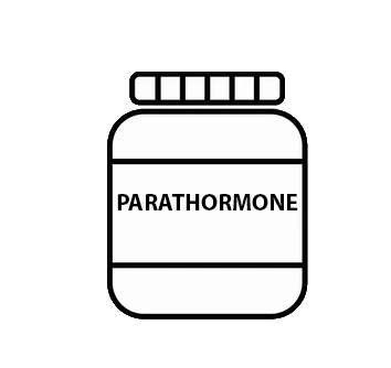 PARATHORMONE